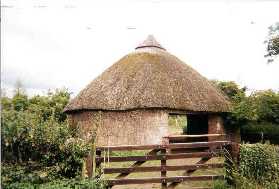 Thatched-roof farm building